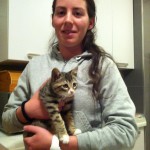 Gatita adoptada Valladolid Ginger