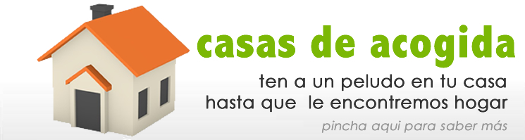 casadeacogida_web