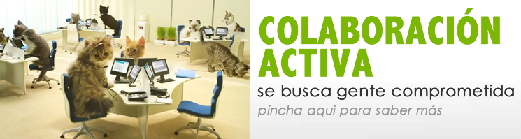 colaboracionactiva_web