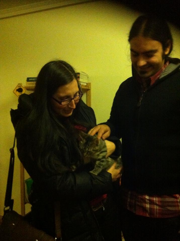 GATITA EN ADOPCION VALLADOLID MILA, ADOPTADA