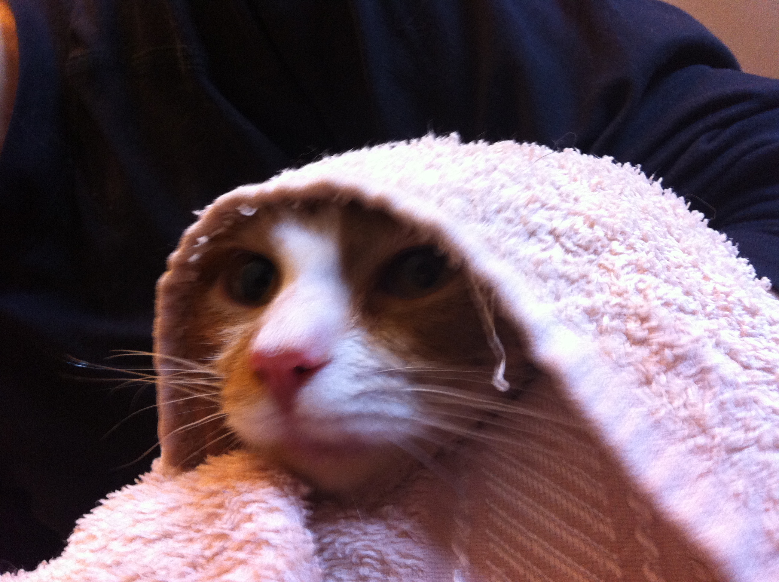 la foto que enamoró a Lilith