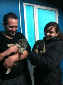 ADOPATADAS TORMENA Y ELEKTRA