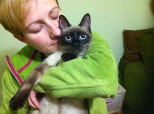 GATIA EN ADOPCION EN VALLADOLID, KIRA