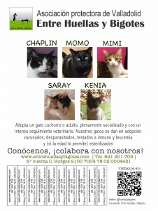 cartel_Acogidas_imprimir
