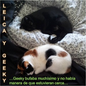 Leica con Geeky
