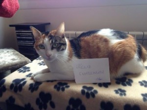 Saray adoptada 1 mayo 2014