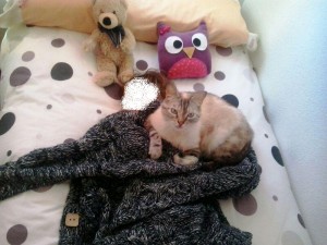 siesta_miguel2