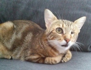 simbita sofa