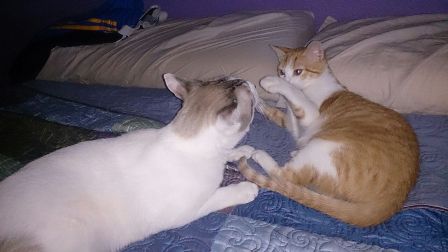jugando con mi hermano