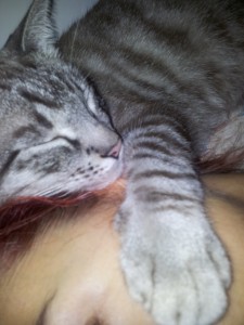 newman dormido