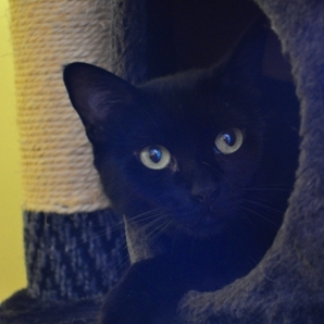Bonnie 3