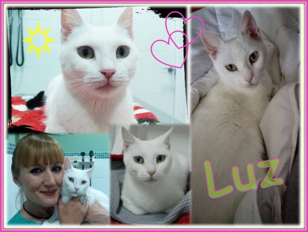 COMPOSICION LUZ
