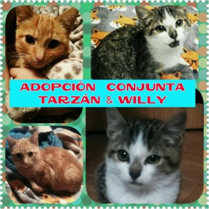 Tarzan y Willy 3