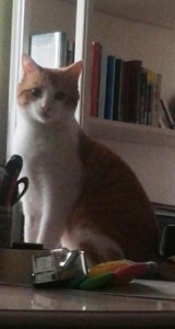 BRUNO 13